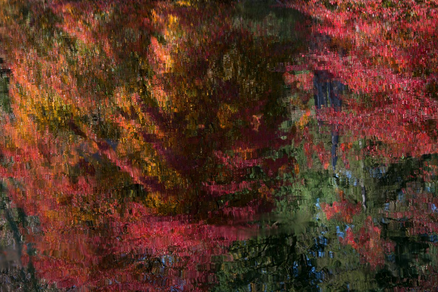 « Au bord de l'étang », œuvre de Danièle, élève de l'École Art Photo